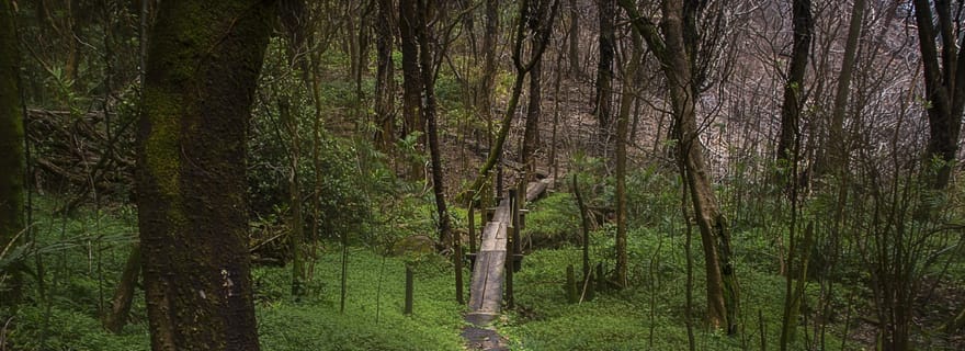 Randonnée de Mombacho Nicaragua