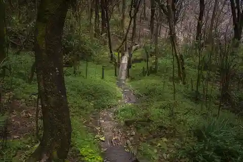 Mombacho hike Nicaragua