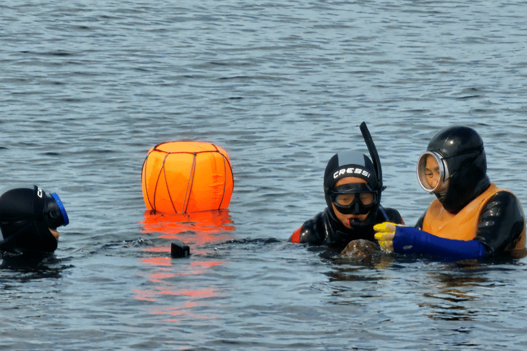 [For Cruise Guests]Jeju Island: Haenyeo Culture Experience