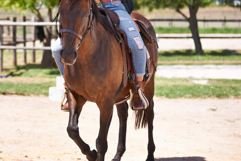 Rincón: Guided Horseback Riding Tour with Ocean Views
