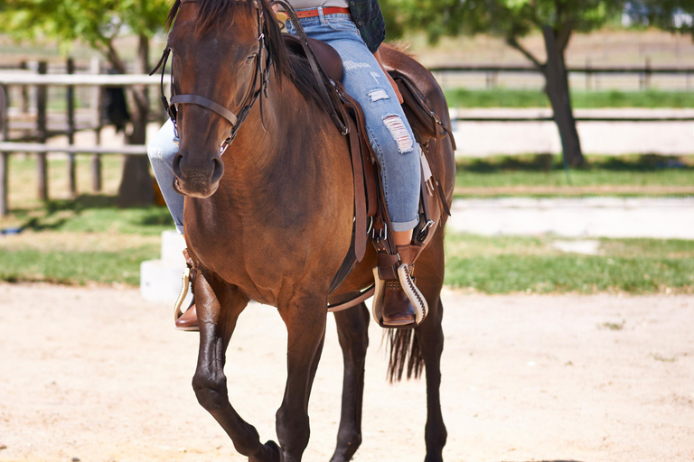 Rincón: Guided Horseback Riding Tour with Ocean Views
