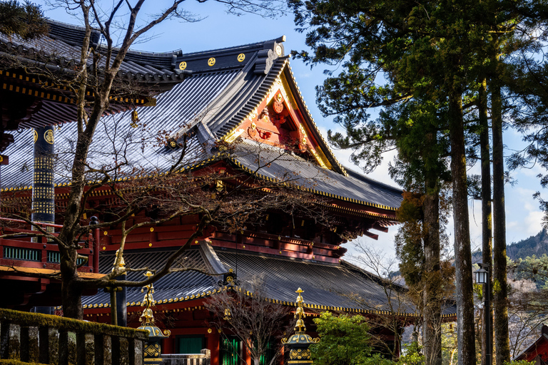 Tokyo: Nikko Kegon Falls Lake Chuzenji Toshogu Temple & More From Tokyo: Nikko Unesco Customised Private Tour In Prado