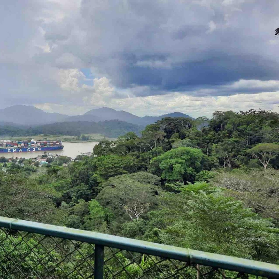 Colagem de mídia