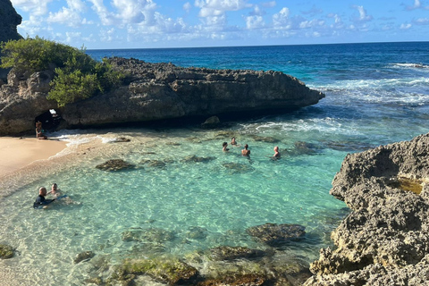 Northern Guadeloupe – Secret cove, beach & local food (VIP Tour) Northern Guadeloupe – Wild cliffs, beach, & local food