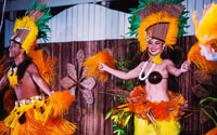 Oahu, Oceanfront Luau al Waikiki Aquarium - Housity