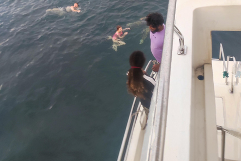 Mirissa: tour in barca con osservazione balene al tramonto e musica