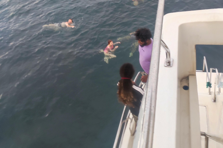 Mirissa: tour in barca con osservazione balene al tramonto e musica