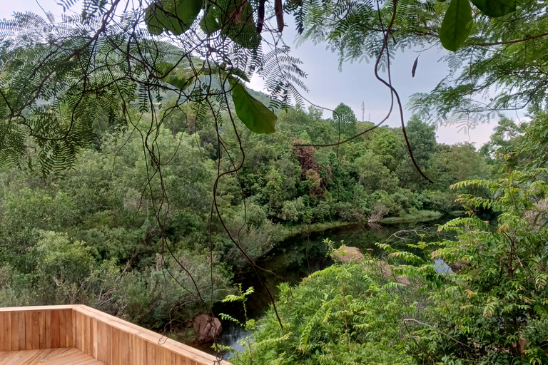 Kampot: Teuk Chhou Rapids Half-Day Tour with Ta-da Waterfall