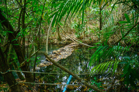 Fuga particular de Krabi: Piscina Esmeralda, Fontes Termais e Caverna do TigreVan particular