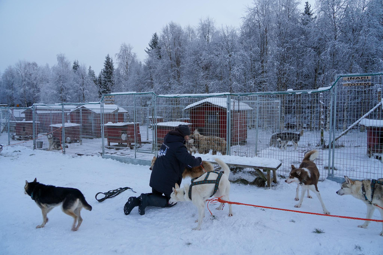 Nulkki Husky Adventure
