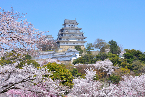 Himeji Castle Guided Tour and Kobe Beef Lunch from Kyoto Return Shinkansen (bullet train) ticket to Shin-Osaka