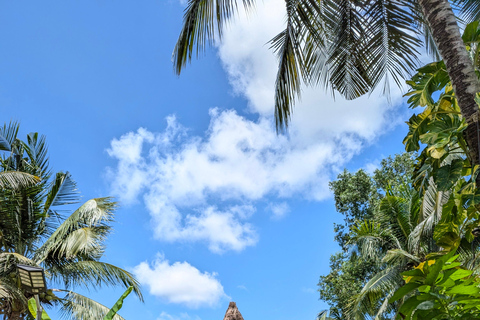 Cidade de Ho Chi Minh: 2 dias de bicicleta e caiaque no Delta do Mekong