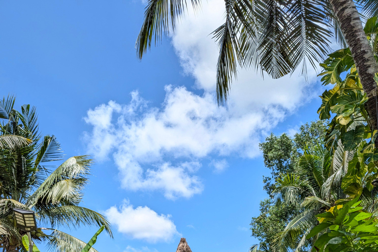 Cidade de Ho Chi Minh: 2 dias de bicicleta e caiaque no Delta do Mekong