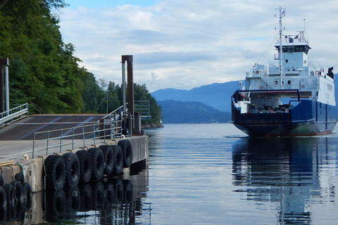 Scenic Hardanger Fjord, Waterfalls, and Orchards Day Trip