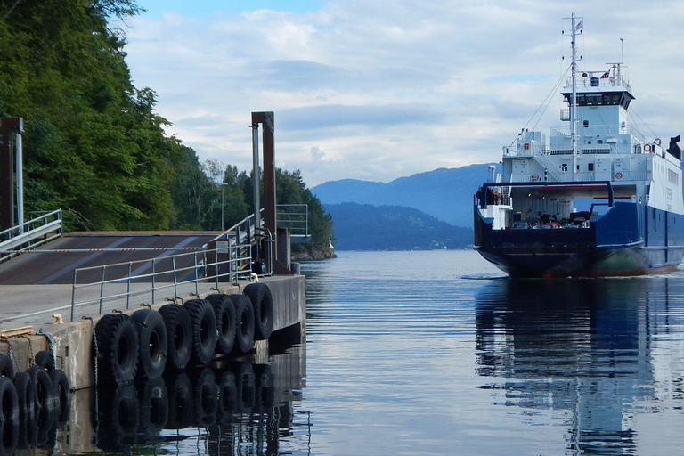 Scenic Hardanger Fjord, Waterfalls, and Orchards Day Trip