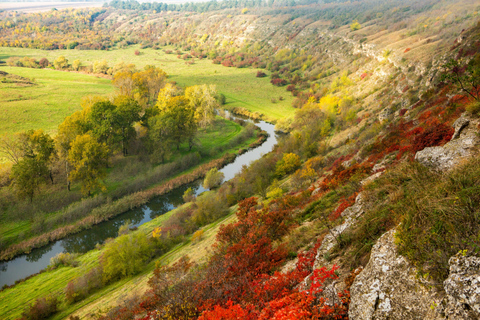 The Authentic Taste of Moldova - Tour in Italian