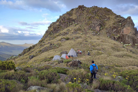 Aberdare Highlands: North to West Trekking Experience