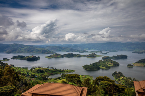 Safari de 3 días volando entre gorilas en Bwindi