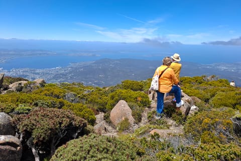 Mount Wellington Shore Excursion - Image 2