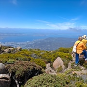 Mount Wellington Shore Excursion