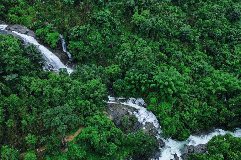 Klein Munnar: Vagamon Serene Teegärten, Wiesen und Wälder