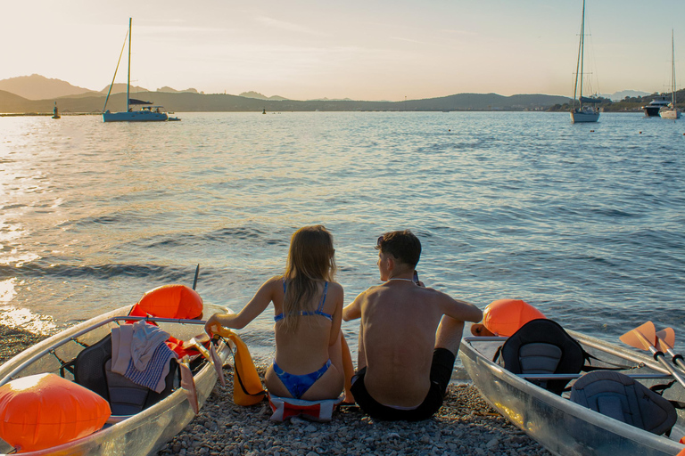Golfo Aranci: transparent or traditional kayak, dolphins, and aperitif Sunset Tour in a Traditional Kayak with Aperitivo and Dolphins