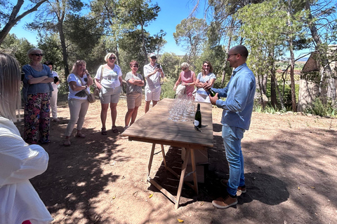 Depuis Valence : Randonnée privée à Buñol avec dégustation de vin