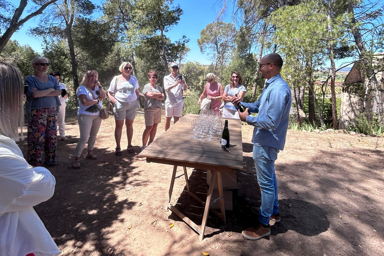 Depuis Valence : Randonnée privée à Buñol avec dégustation de vin