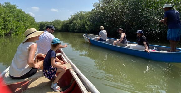 Cartagena: Mangrove Eco Tour & Fishing with Transportation
