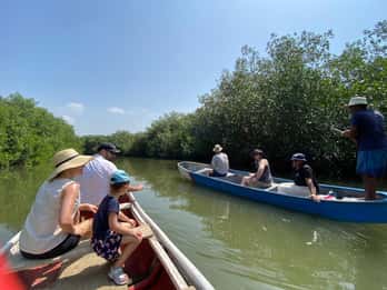 Ekotur i mangrove och fiske i Cartagenas naturliga mangrove