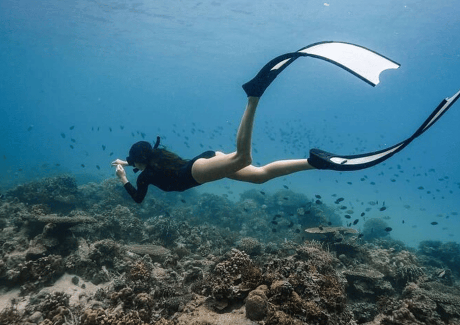 Coron Reef & Wrecks with Lunch (Joiners Tour) | GetYourGuide