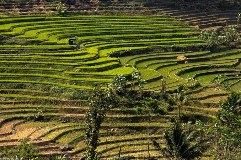 Selogriyo Temple and Java Rice Terrace Guided Trekking Tour Selogriyo Temple Java Rice Terrace Guided Trekking Tour