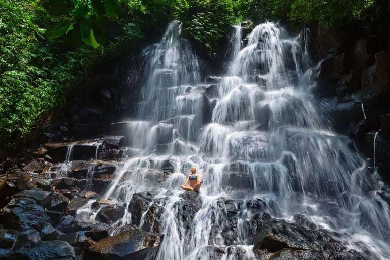 Bali - Circuit des chutes d'eau à couper le souffleVisite sans billet d'entrée