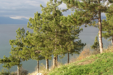 Ohrid: Oude Stad Fietsverhuur
