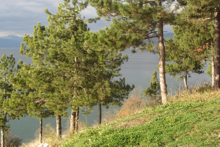 Ohrid: Oude Stad Fietsverhuur