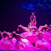 Da Nang: Charming Da Nang Show Ticket