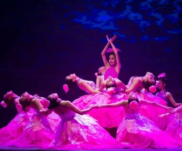 Da Nang: Charmant Da Nang Show Ticket