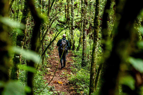 3-Day Nyungwe National Park and Lake Kivu Tour