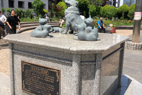 Visites de Tokyo en espagnol (Marché Tsukiji-Ginza-Tour de Tokyo)