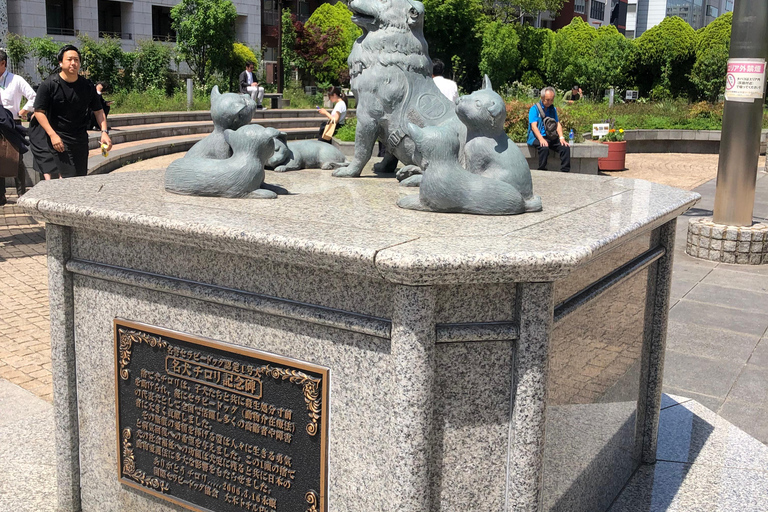 Tour di Tokyo in spagnolo (Mercato di Tsukiji-Ginza-Tokyo Tower)