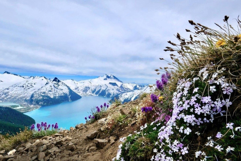 Vancouver: Panorama Ridge Private Guided Hiking Tour