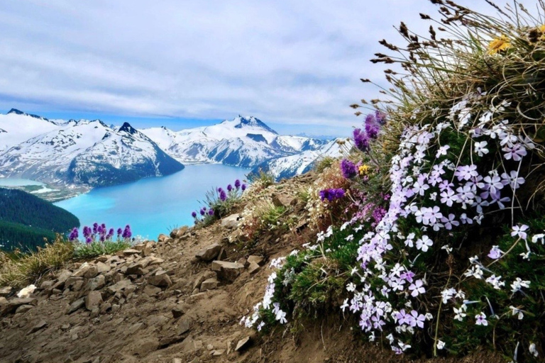 Vancouver: Panorama Ridge Private Guided Hiking Tour