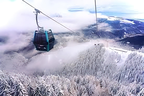 Sinaia: Peles Castle, Monastery, and Casino Tour Group of 7 people