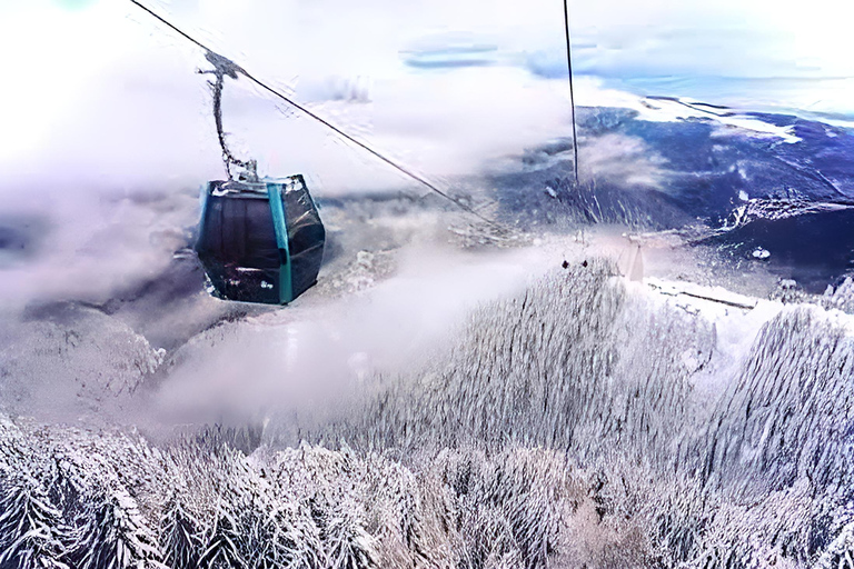 Sinaia: Peles Castle, Monastery, and Casino Tour Group of 7 people