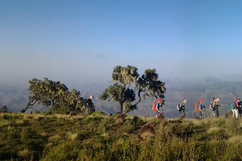 Etiopia Najlepsze 16-dniowe wycieczki, trekking w góry, wulkan, plemiona16 dni góry Simien, depresja Danakil, plemię Omo Vallely