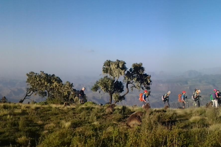 Etiopia Najlepsze 16-dniowe wycieczki, trekking w góry, wulkan, plemiona16 dni góry Simien, depresja Danakil, plemię Omo Vallely