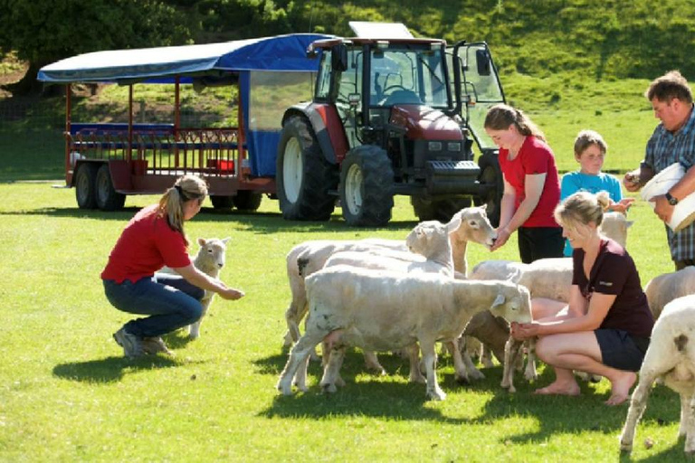 Rotorua Adventures Private Tour