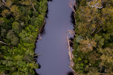 Hastings cave, Tahune Airwalk and the Huon tasting trail