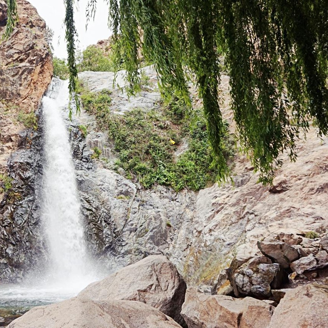 Au départ de Marrakech : Excursion en groupe dans la vallée de l'Ourika - trekking