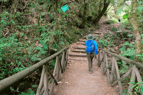 Cuicocha bypass to the lagoon